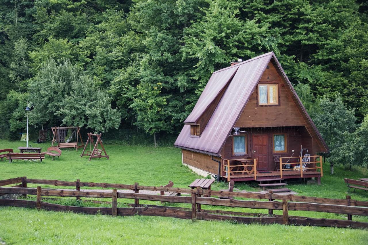 Bieszczadnik *